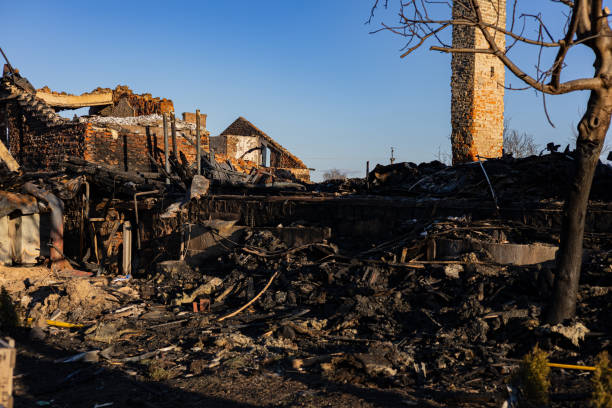 Reliable Board Up Services contractor in Altamonte Springs, FL by Fire Damage Doption